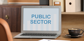 Public Sector Frameworks